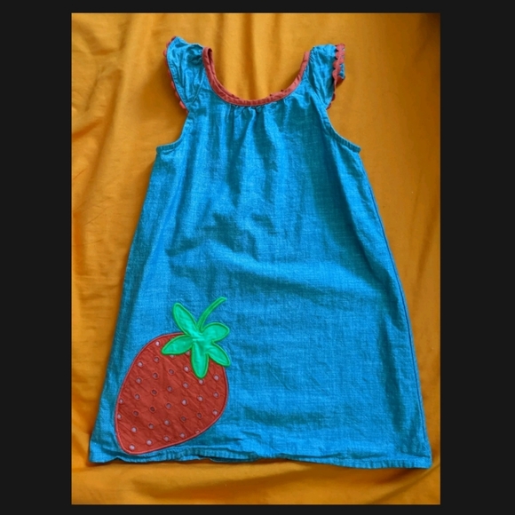 Gymboree Strawberry Chambray Shift Dress, 4T